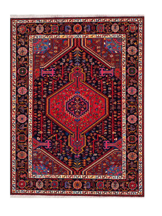 Amazing Hand Knotted Vintage Persian Hamadan Pictorial Wool Area Rug 6.9 x 3.11 Ft