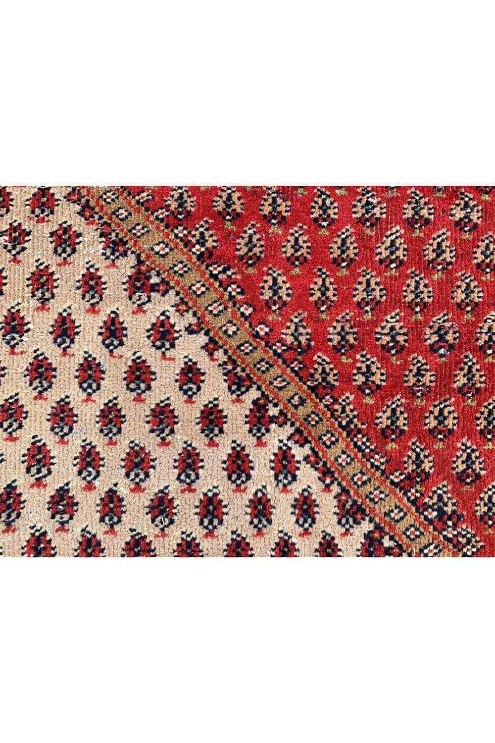 Amazing Hand Knotted Antique Badam Gul Wool Area Rug 10.10 x 7.11 Ft